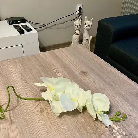 ,,адела”-апартамент за гости Апартаменты Велинград